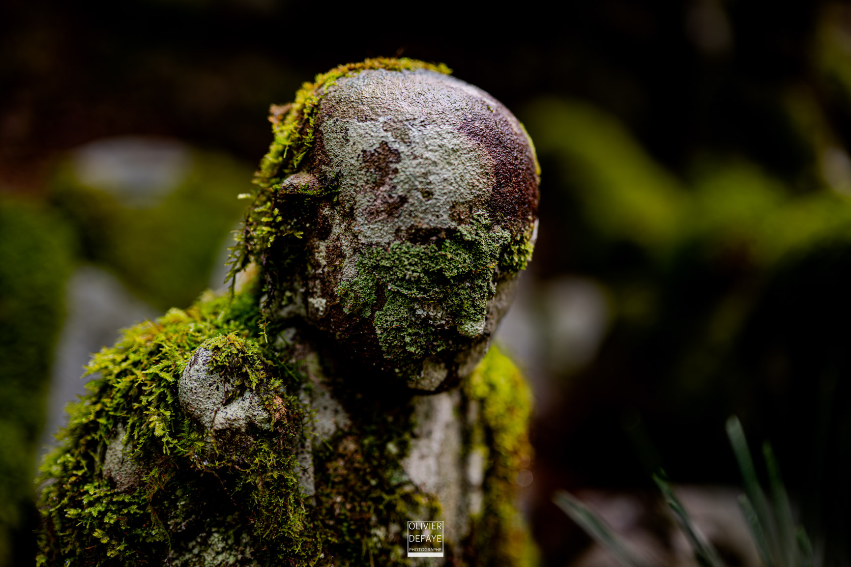 Les dieux et la ville