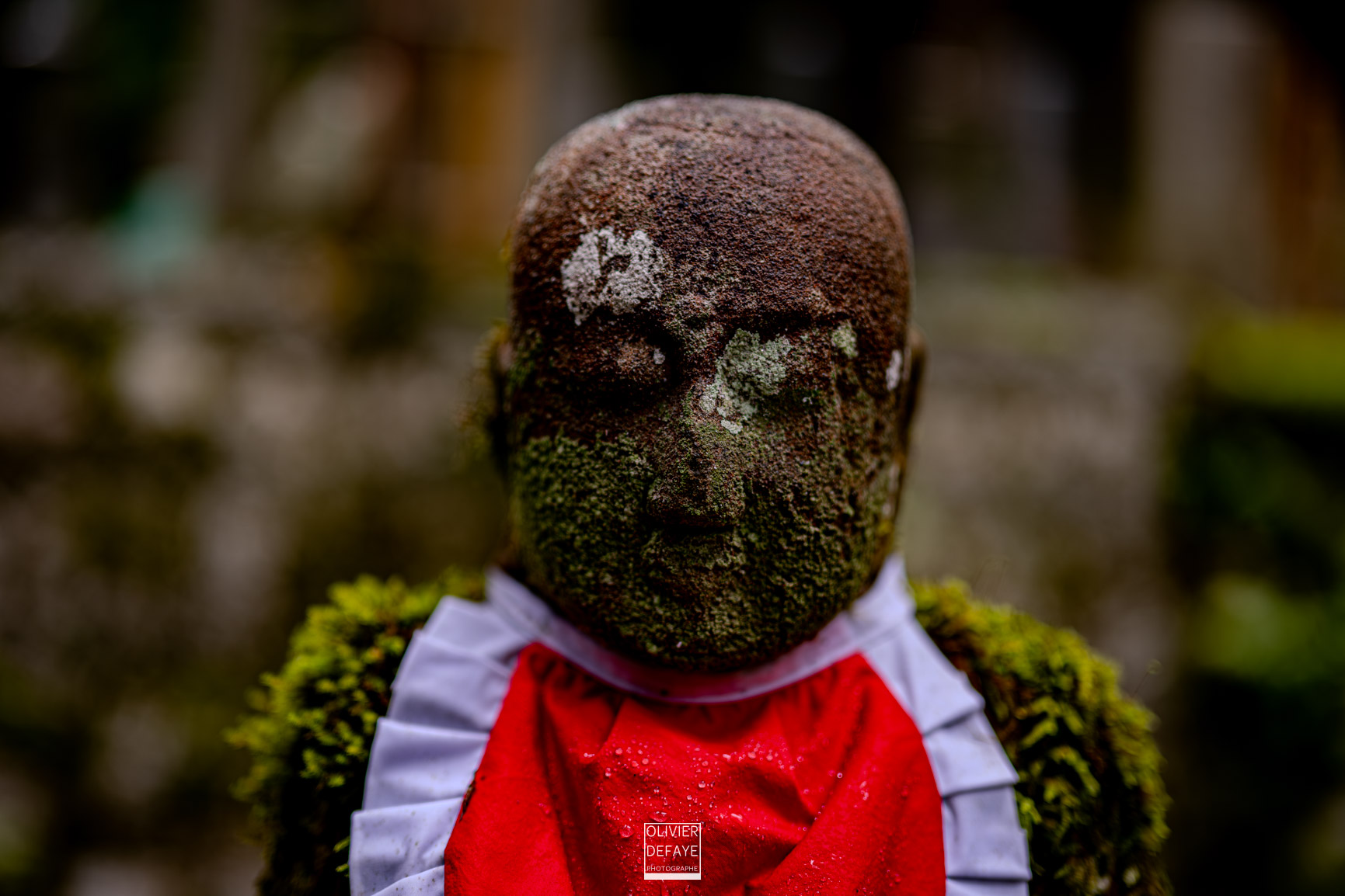 Les dieux et la ville