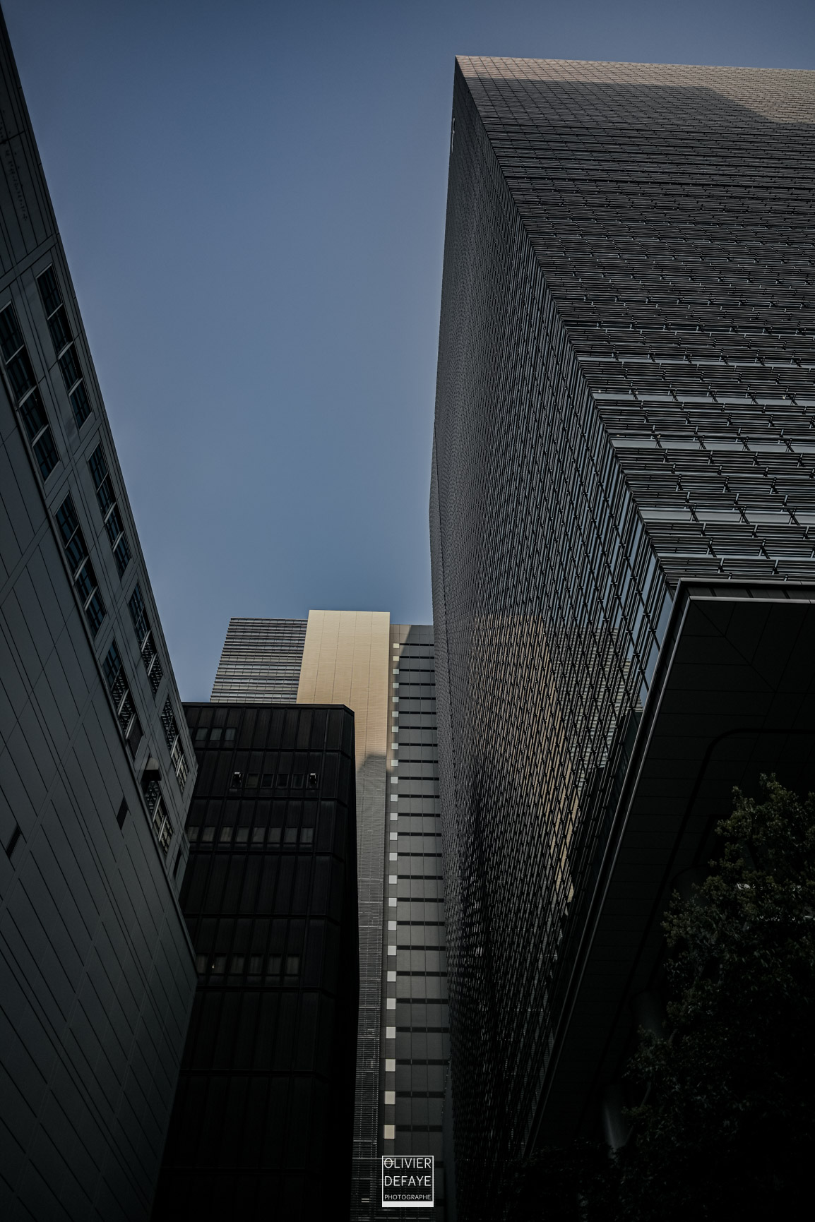 Les dieux et la ville