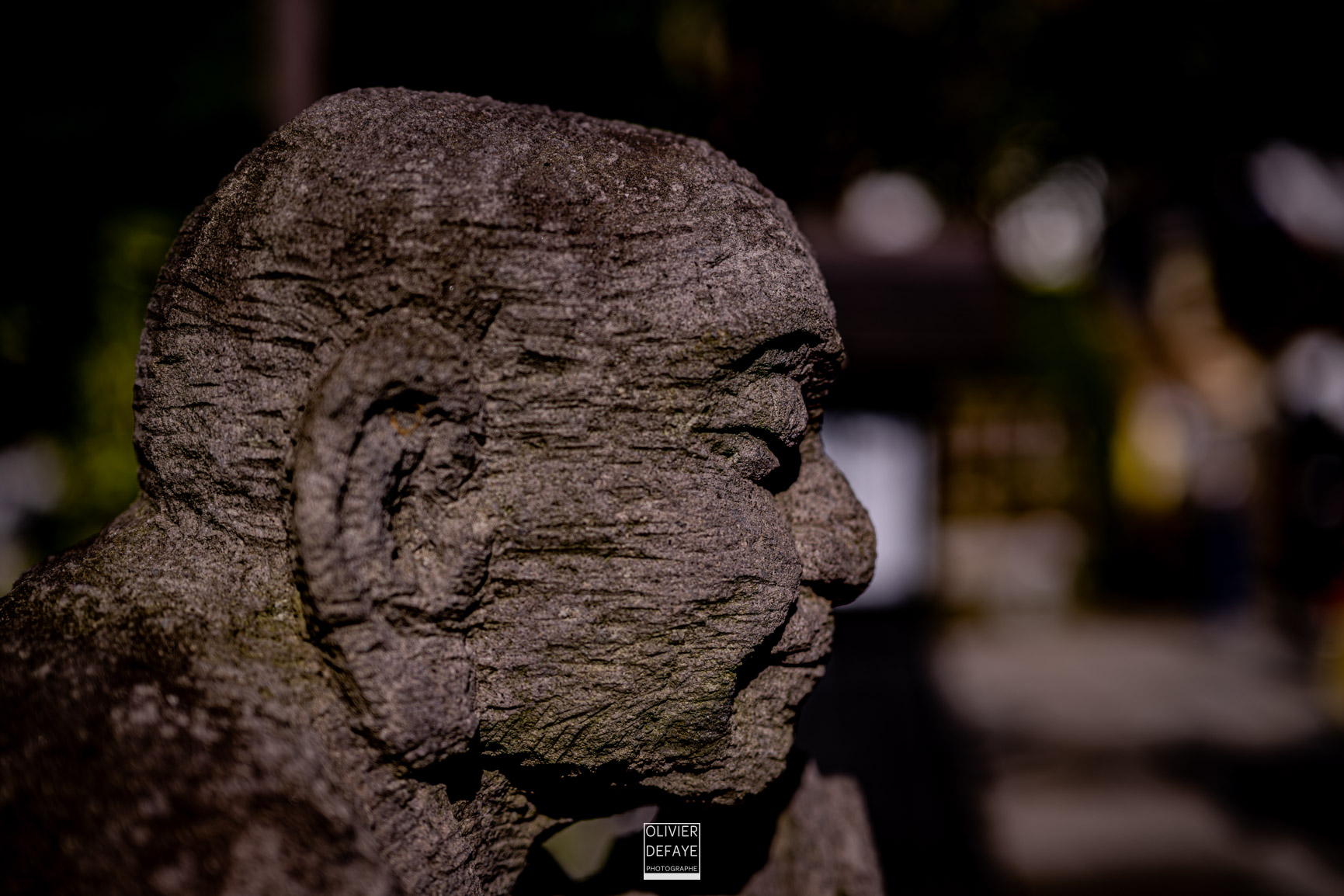 Les dieux et la ville