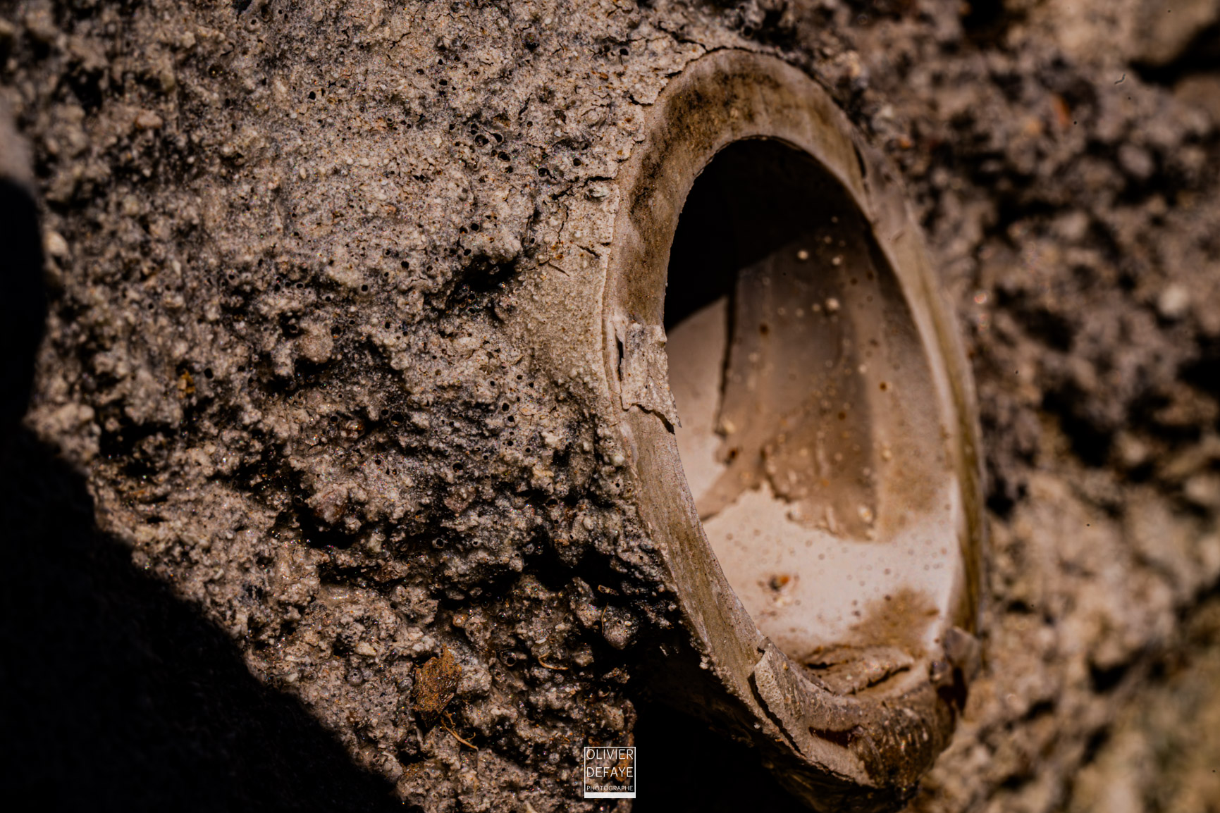 The details of the city