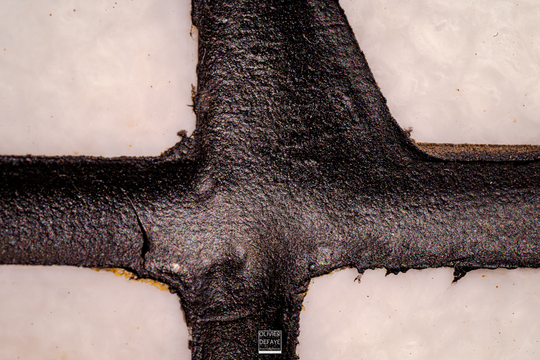 The details of the city