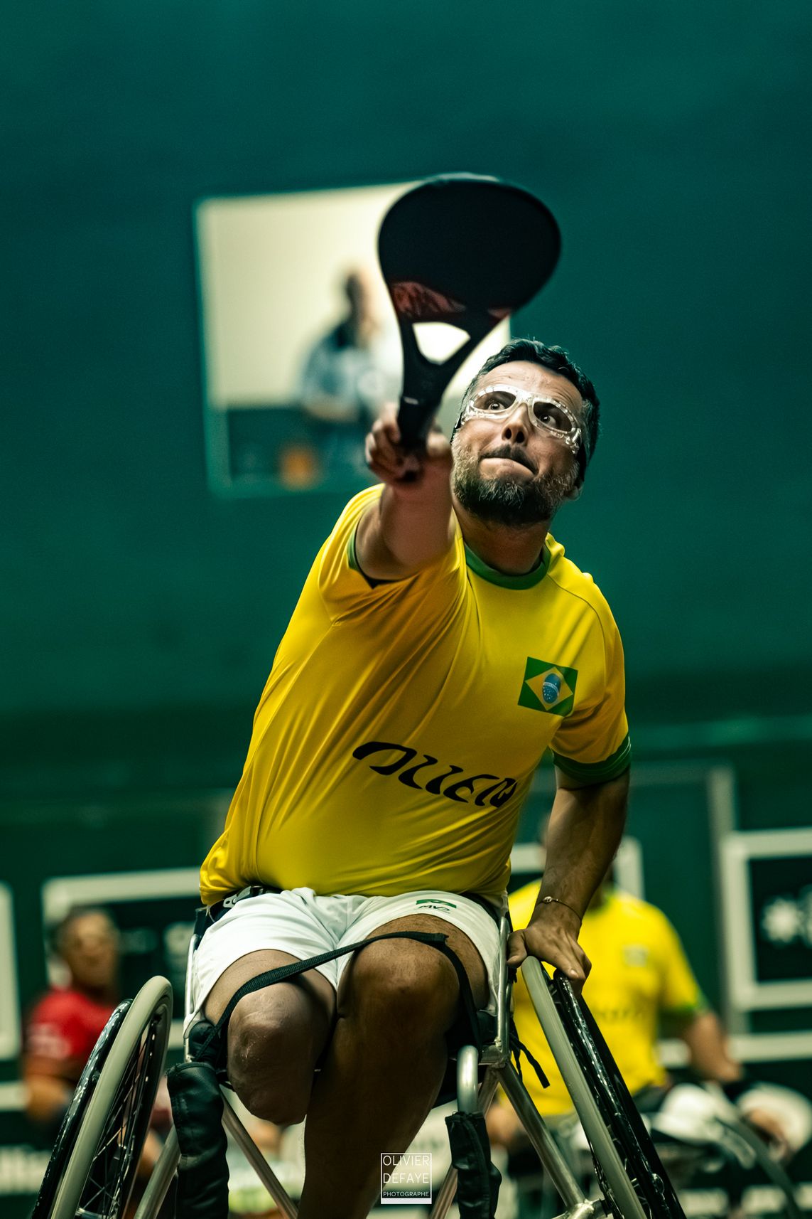 Ligue des nations 2024