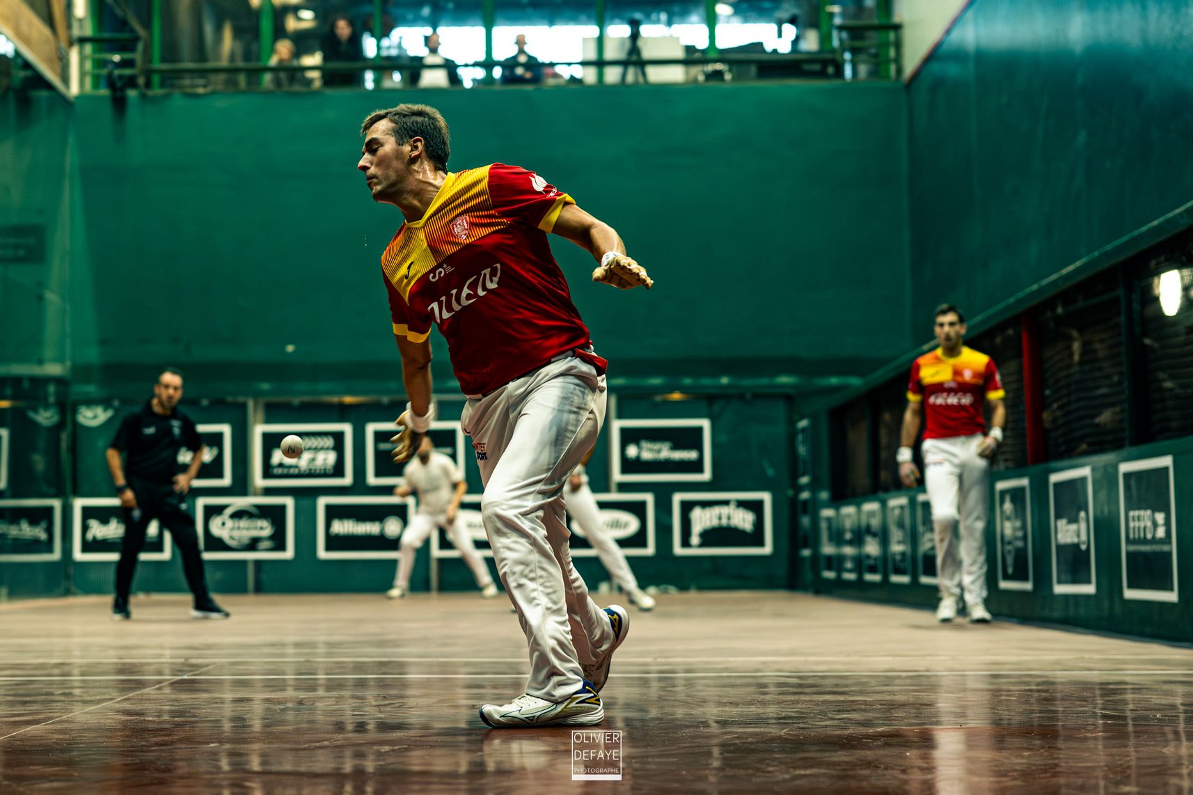 Ligue des nations 2024