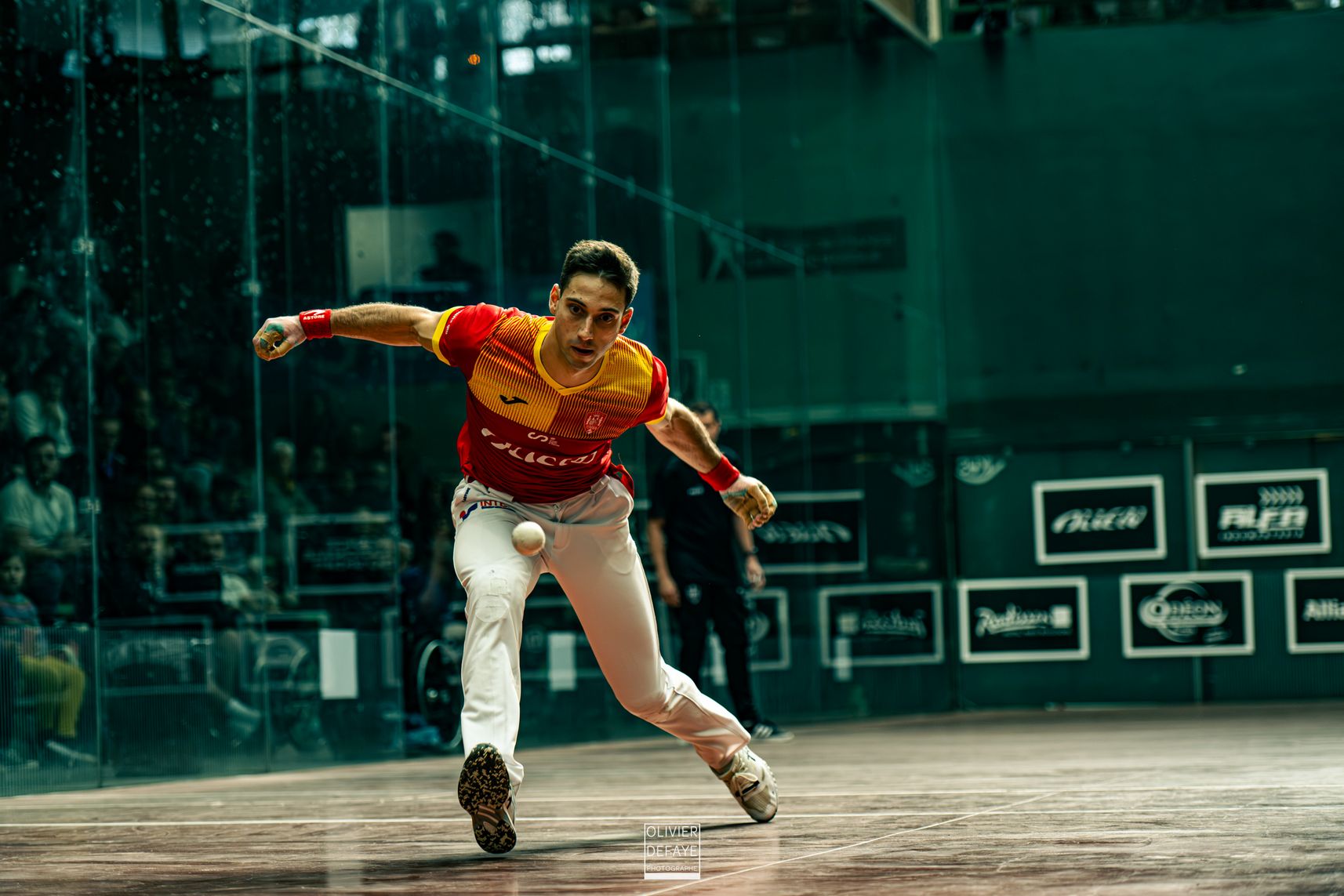 Ligue des nations 2024