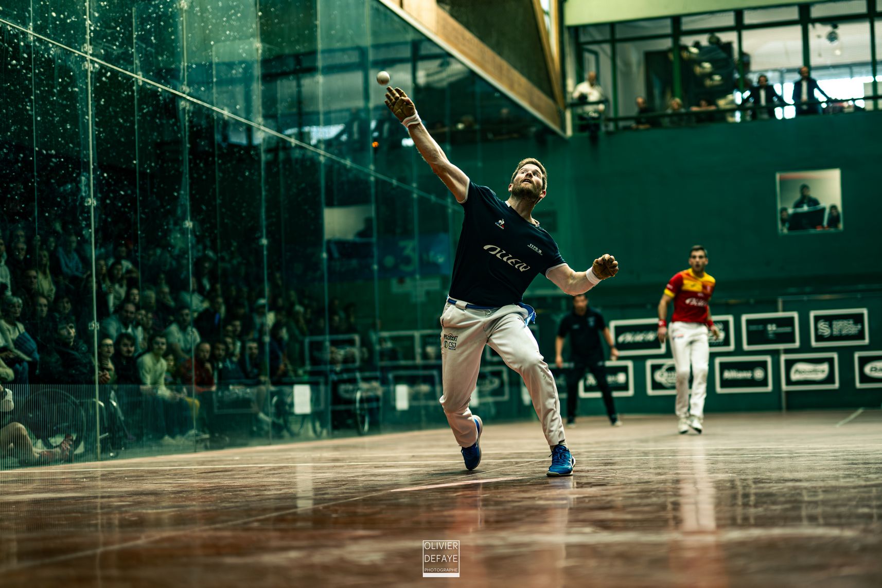 Ligue des nations 2024