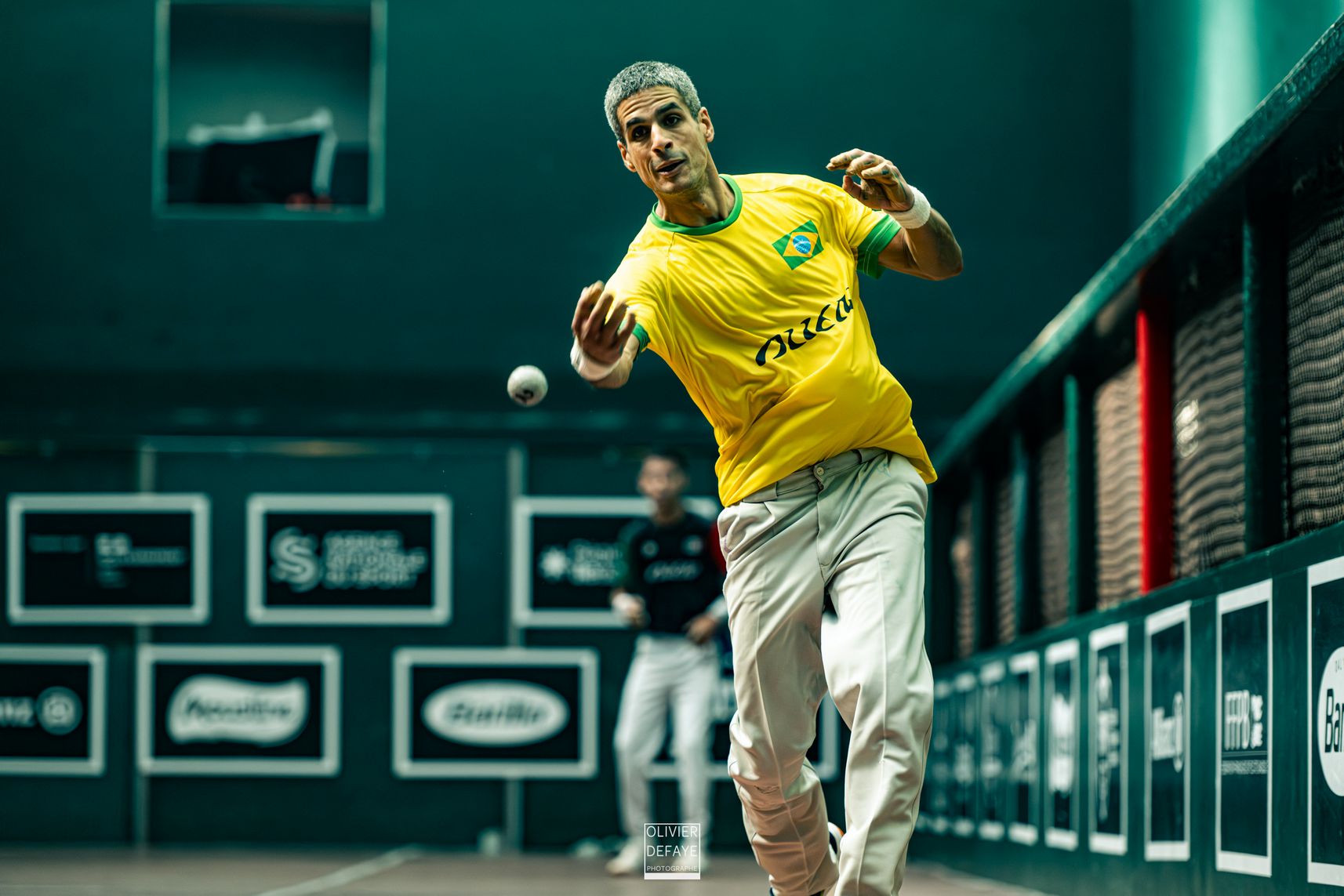 Ligue des nations 2024