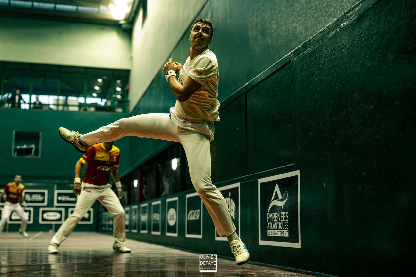 Ligue des nations 2024