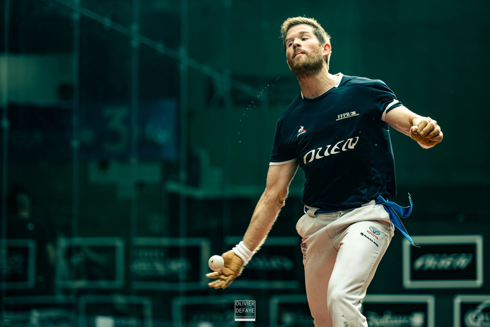 Ligue des nations 2024