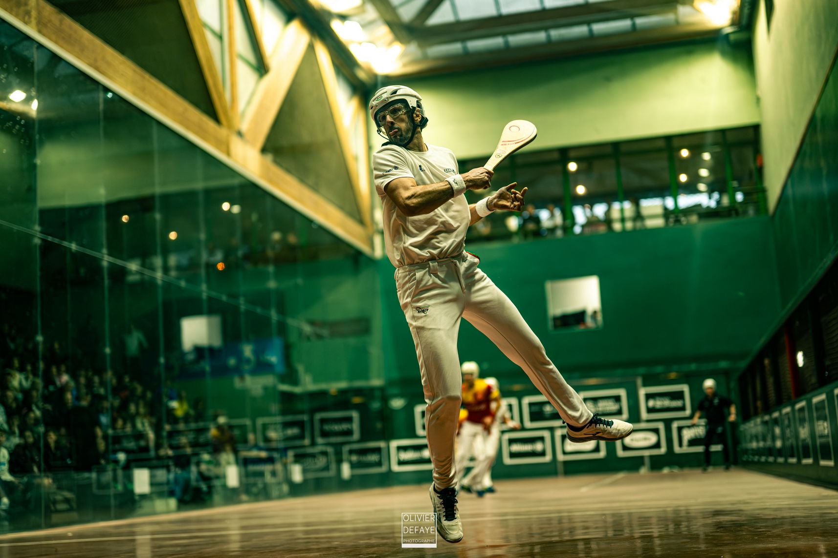 Ligue des nations 2024