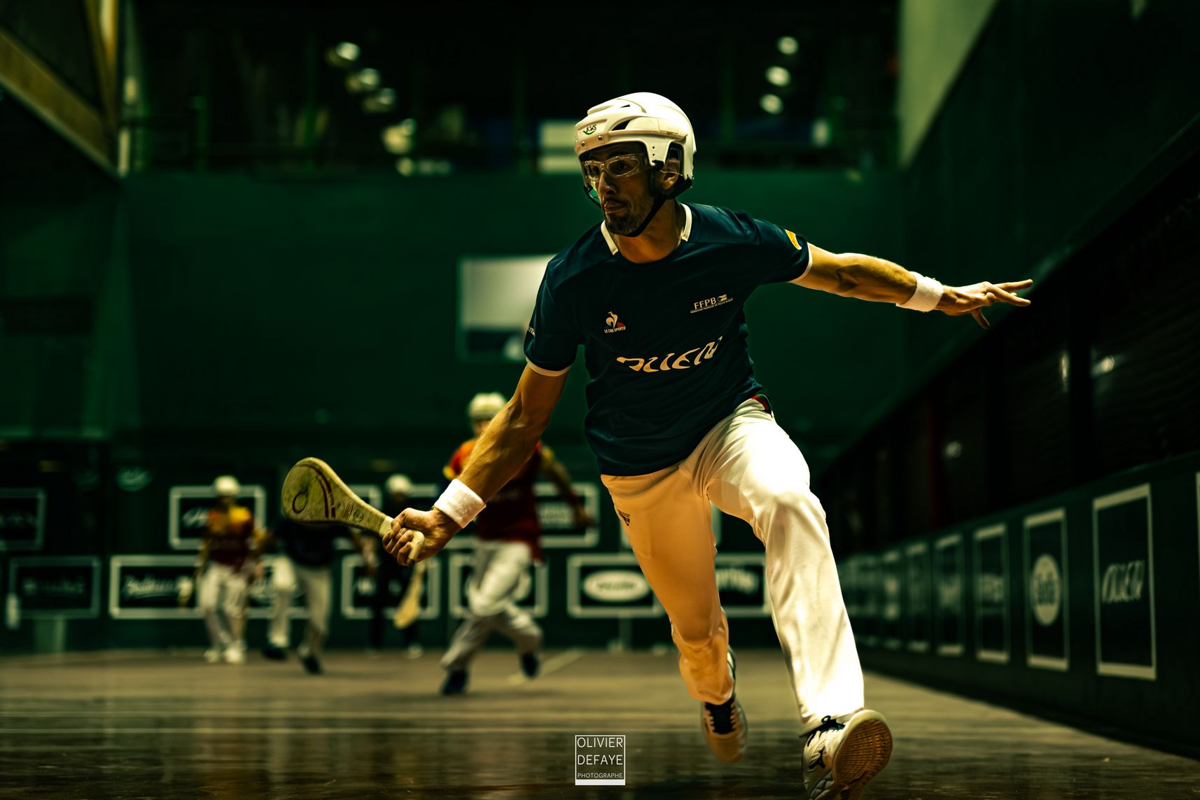 Ligue des nations 2024