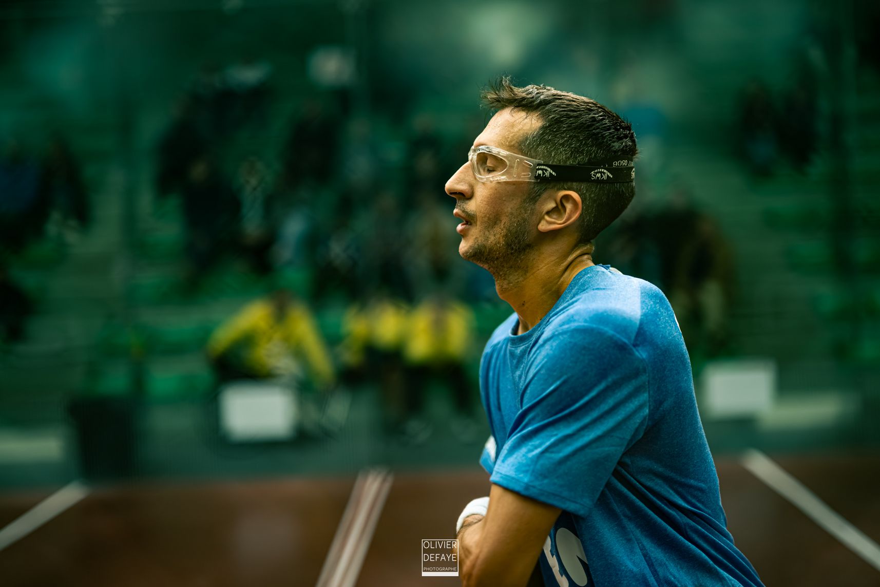 Ligue des nations 2024