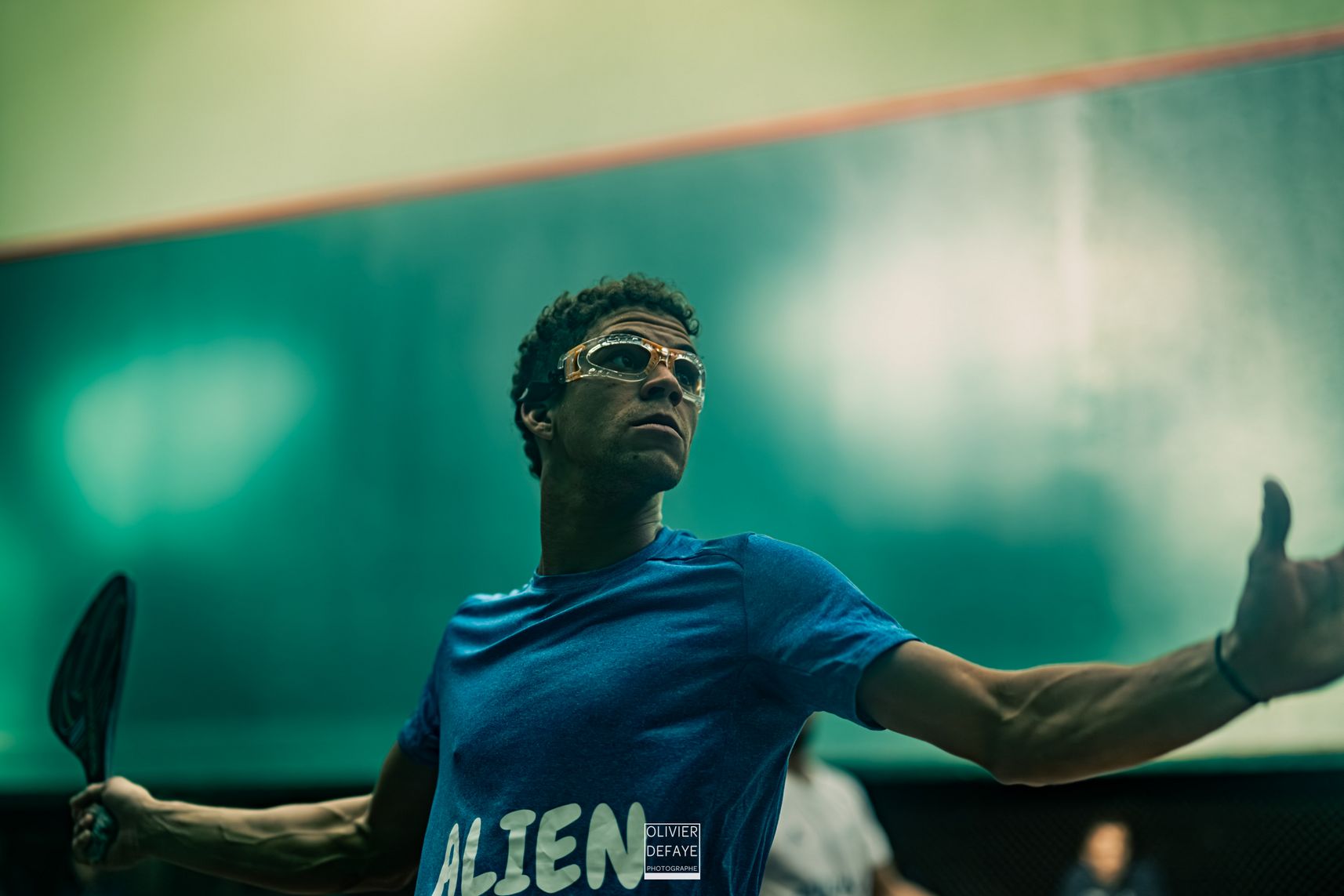 Ligue des nations 2024