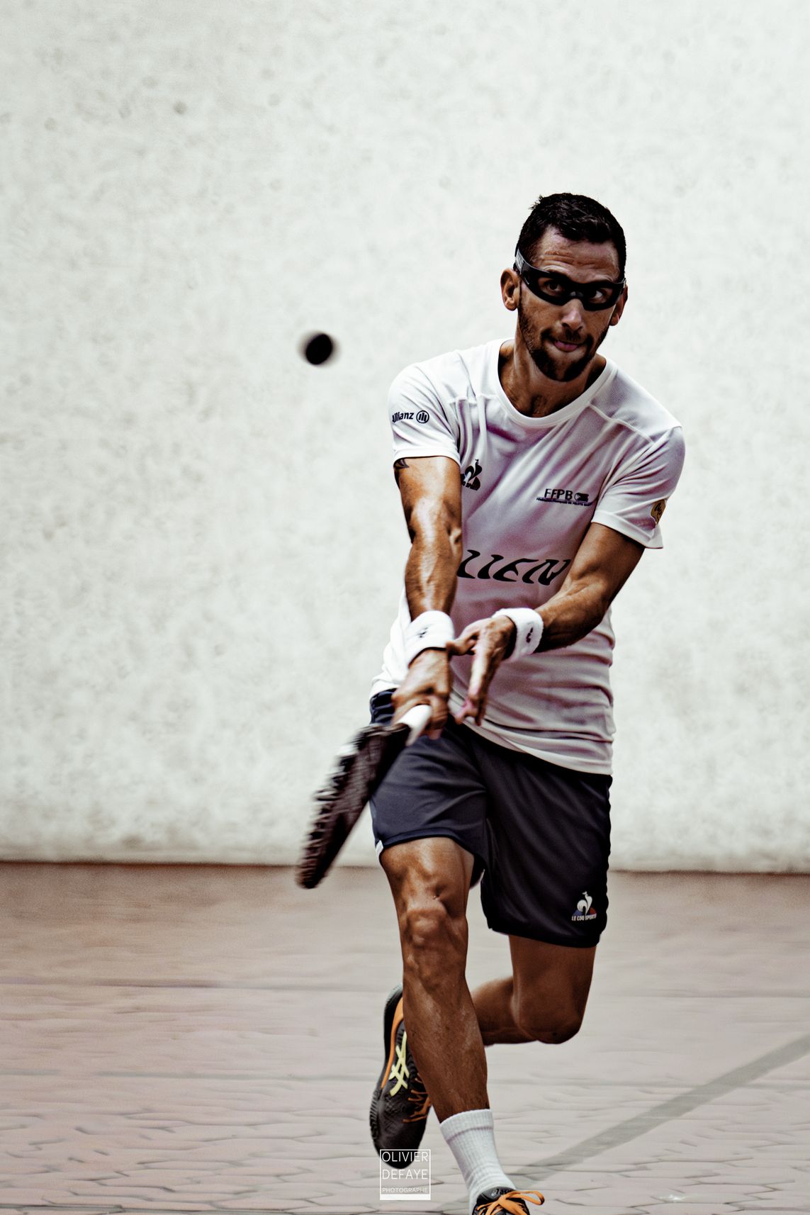 Ligue des nations 2024