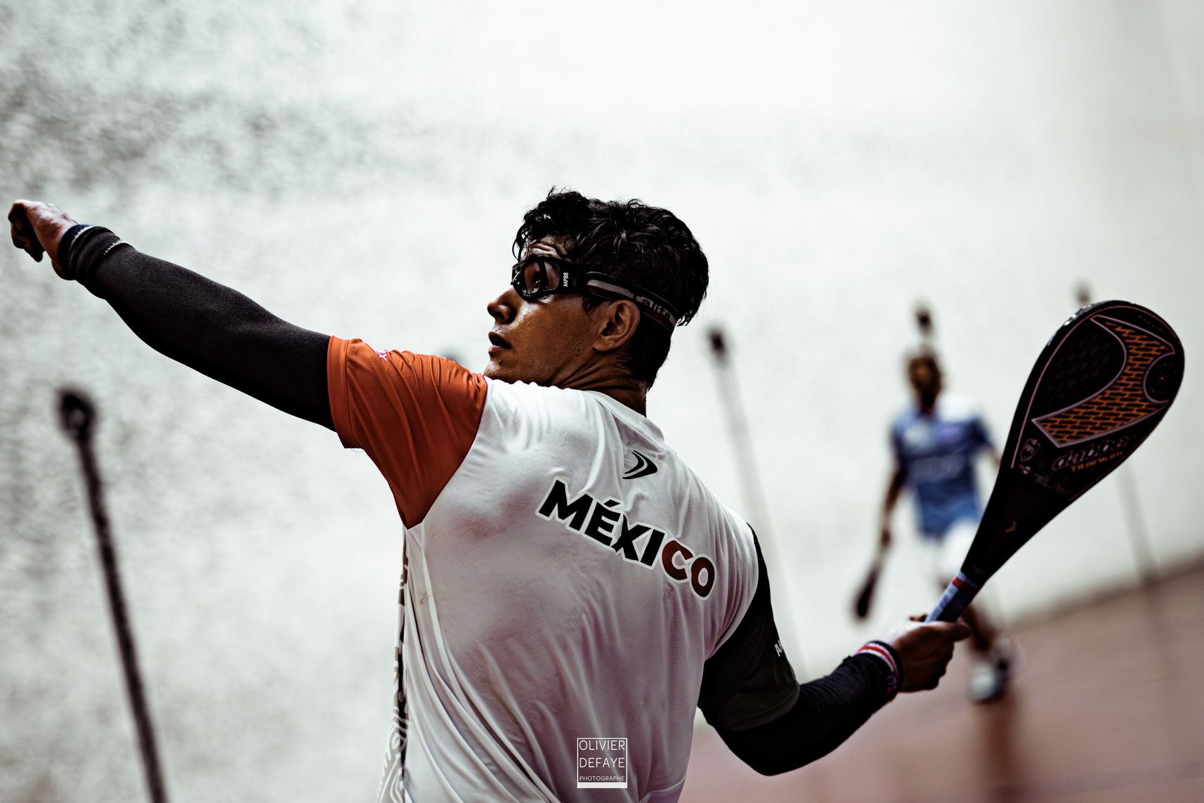 Ligue des nations 2024