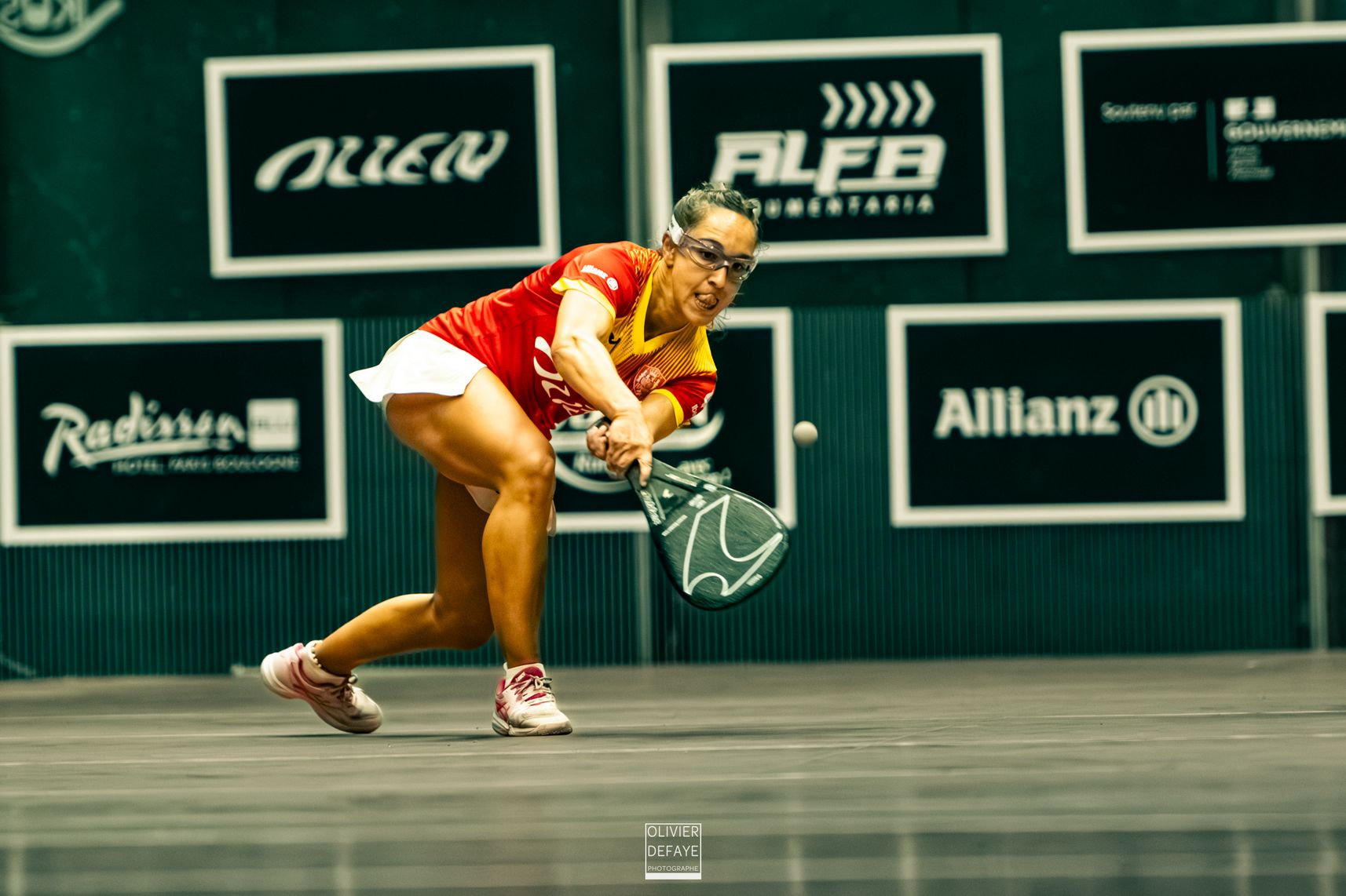 Ligue des nations 2024