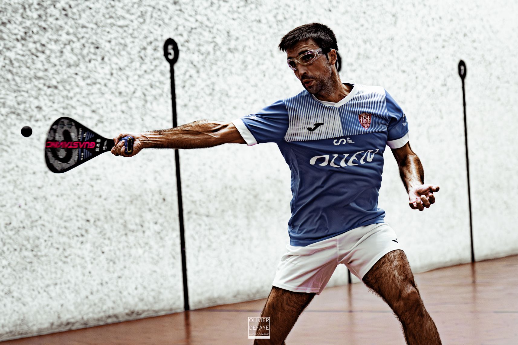 Ligue des nations 2024