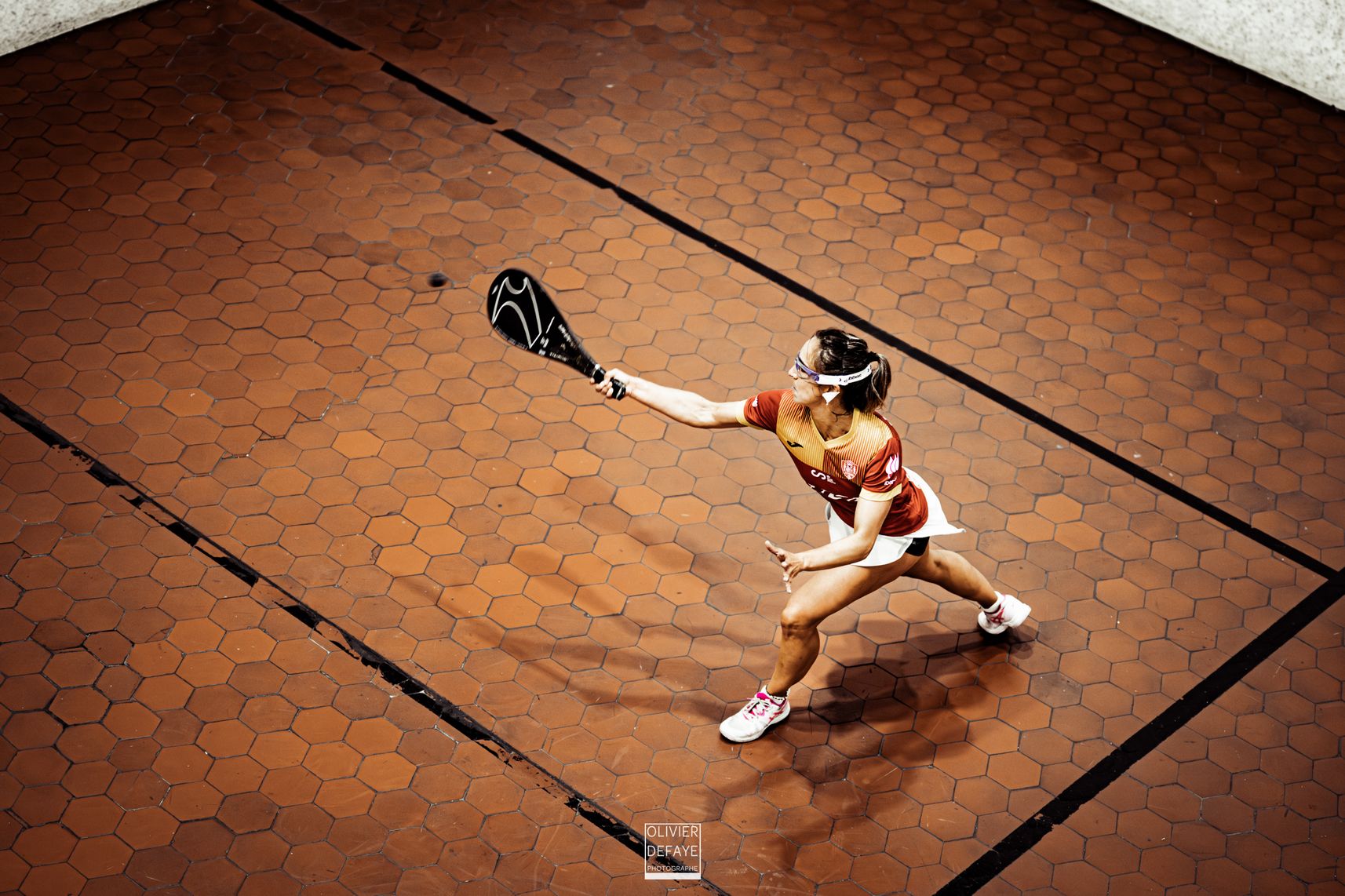 Ligue des nations 2024