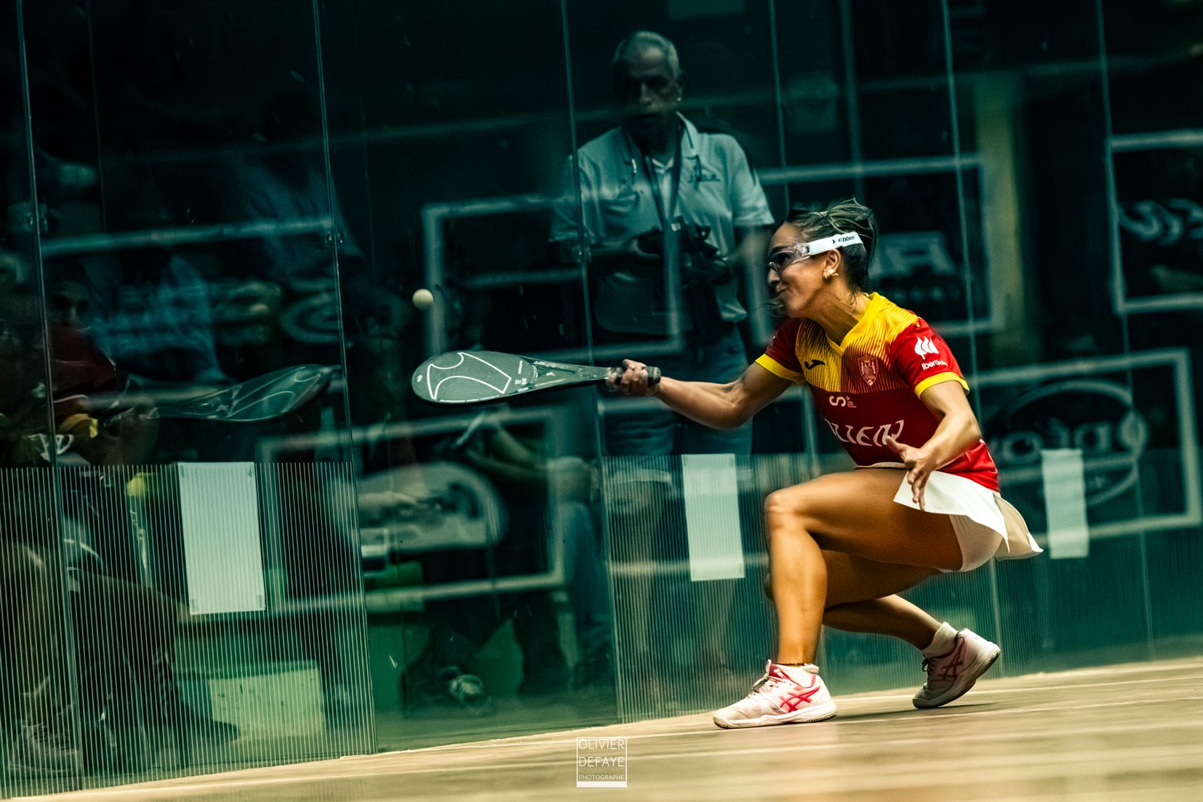 Ligue des nations 2024