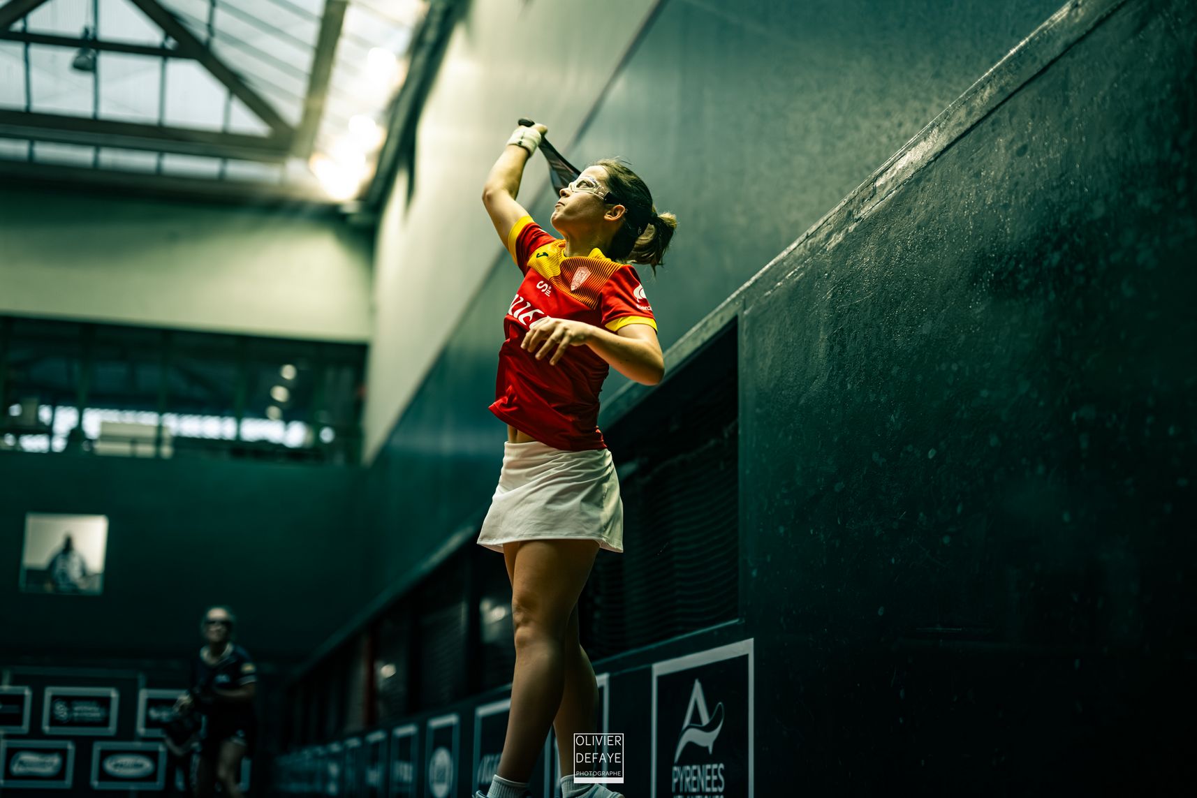 Ligue des nations 2024