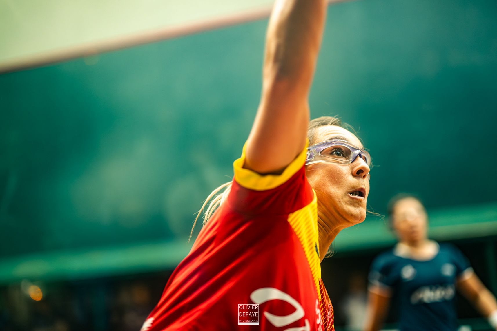 Ligue des nations 2024