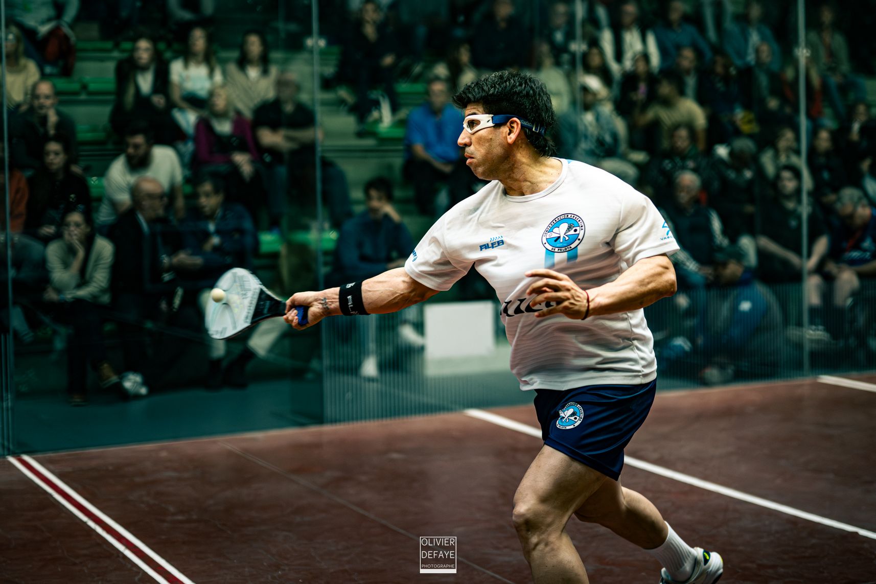 Ligue des nations 2024