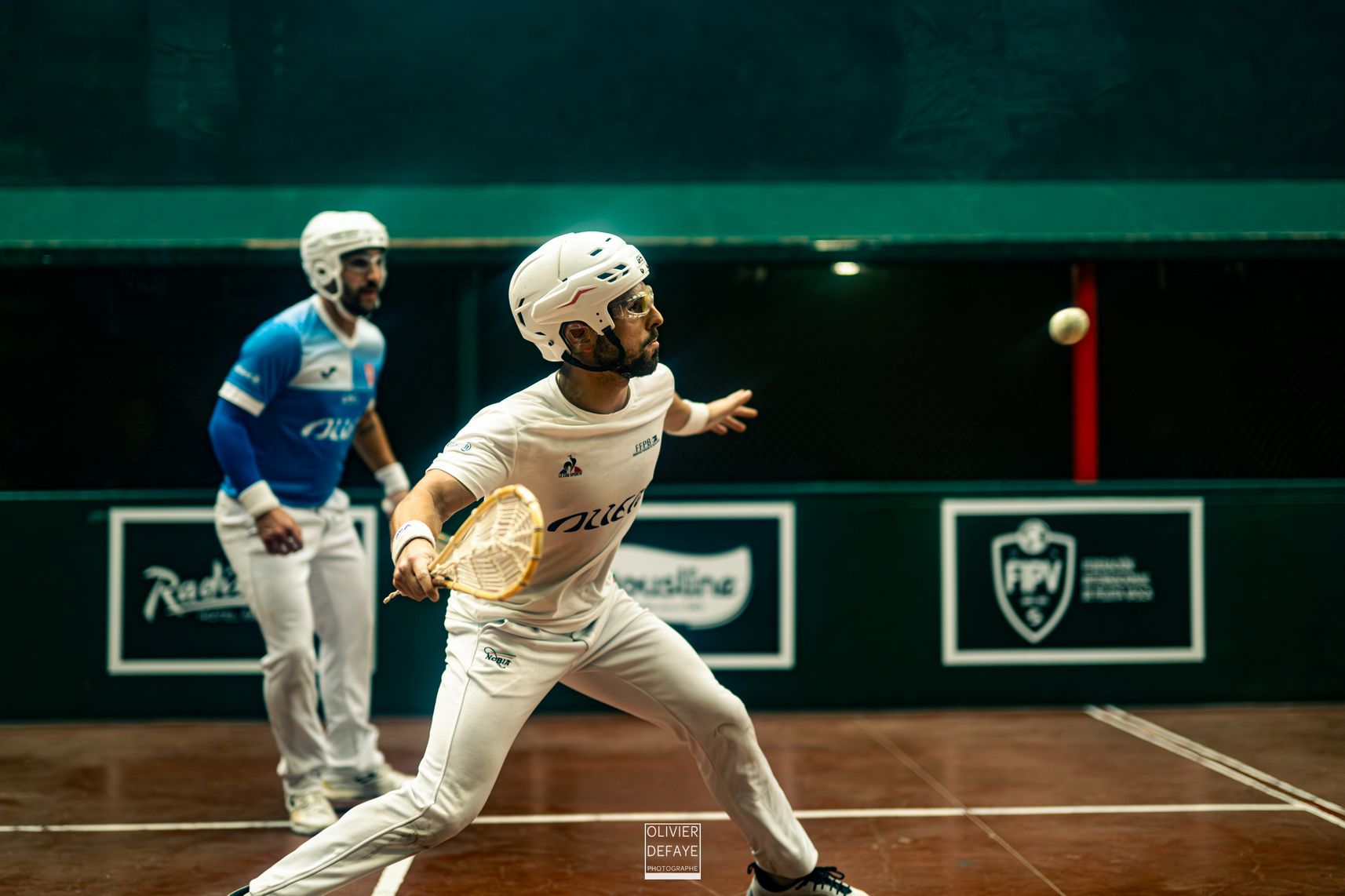 Ligue des nations 2024