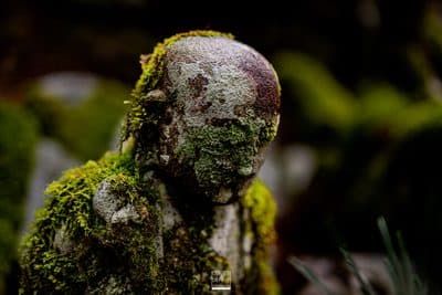 Photographie