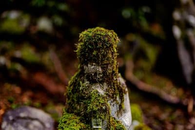 Photographie