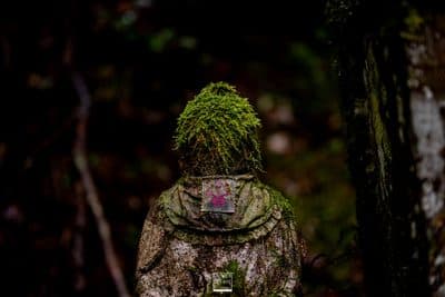 Photographie