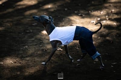 Photographie
