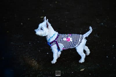 Photographie