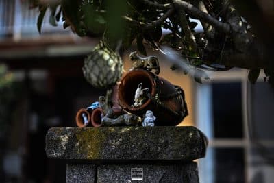 Photographie