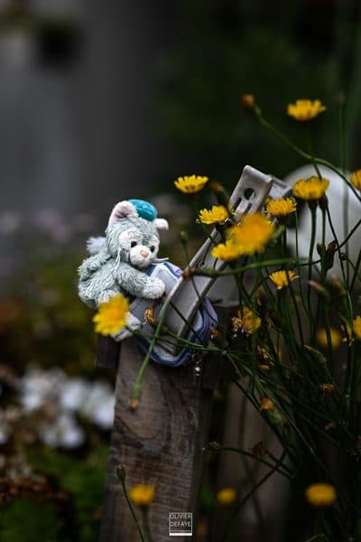 Photographie
