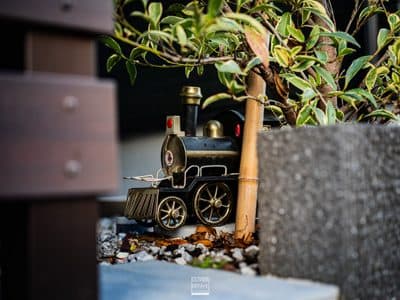 Photographie