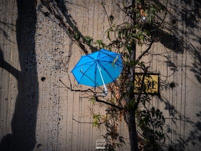 Photographie