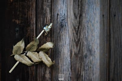 Photographie