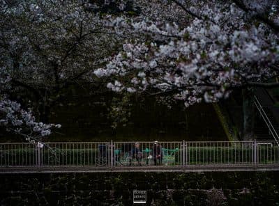 Photographie