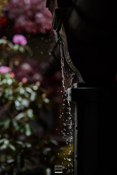 Photographie