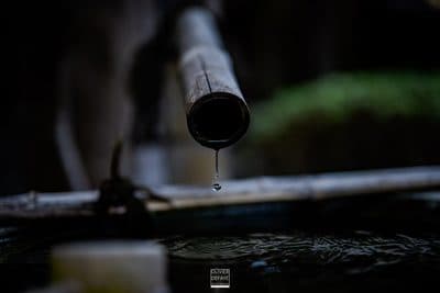 Photographie