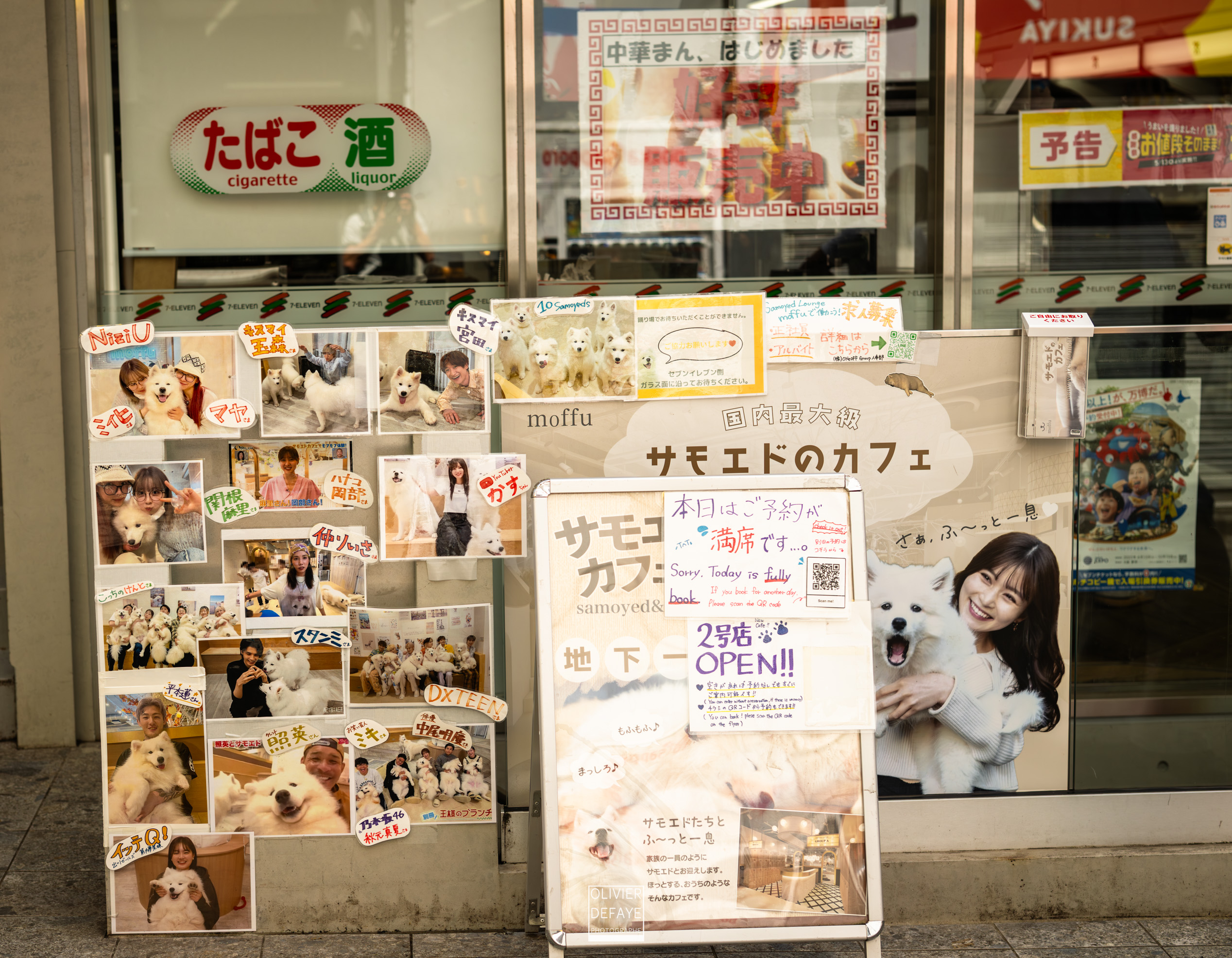 Dogs of Japan